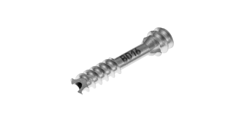 Bold screw
